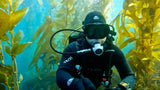 NEX Scuba Regulator System - 1st Stage, Primary 2nd Stage and Octo 2nd Stage