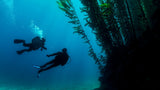 Deep Diver Specialty