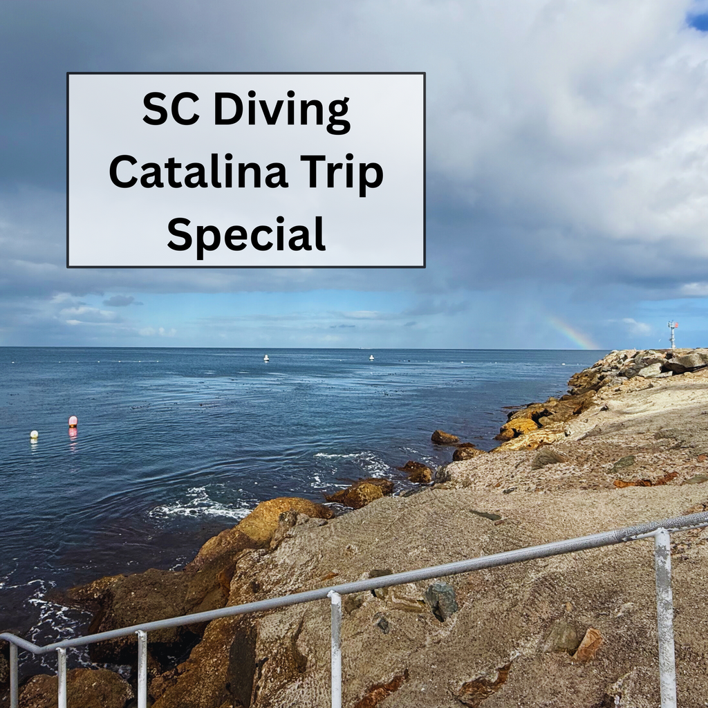 SCDiving Catalina Trip Special