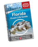 Underwater Spotter Interactive Fish ID Guides
