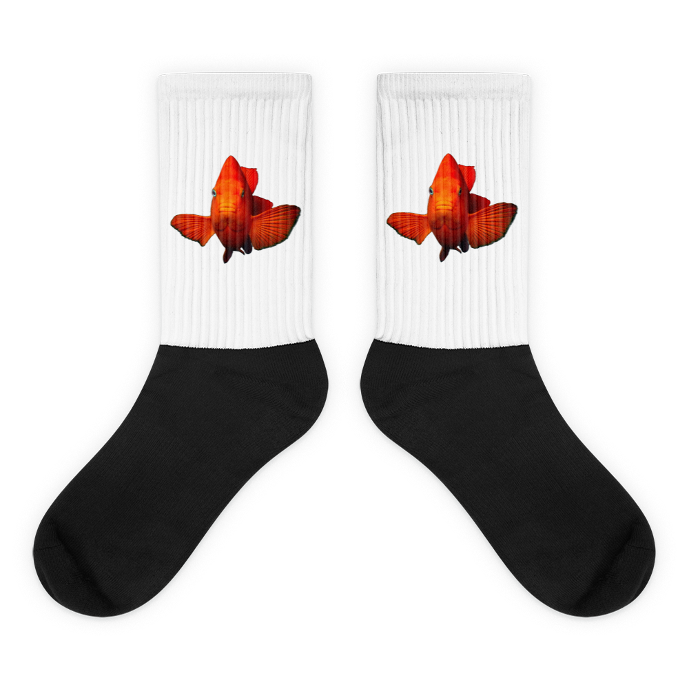 Garibaldi Black foot socks